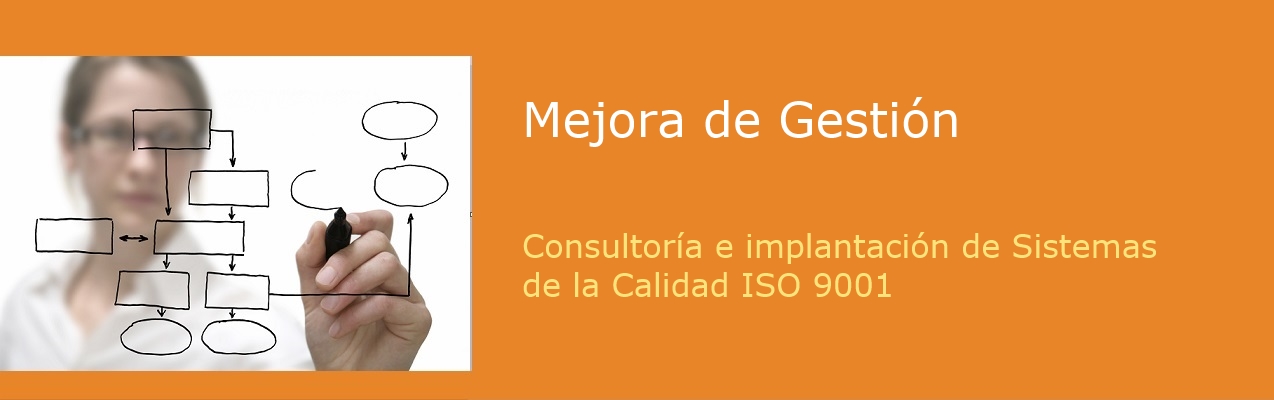 Mejora de Gestión